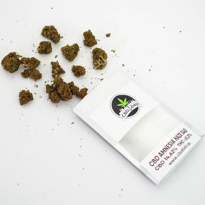 Amnesia Haze CBD Blüten 14,62% CBD – CBD Blüten für Händler