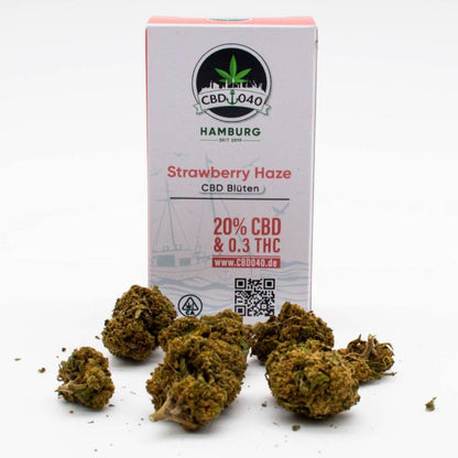 Strawberry Haze CBD Blüten für Händler im B2B-Shop Vorderansicht